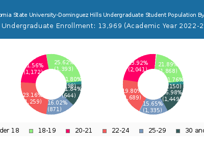 California State University-Dominguez Hills 2023 Undergraduate Enrollment Age Diversity Pie chart