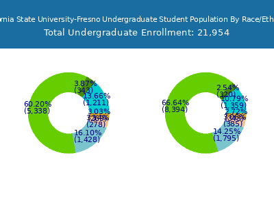 California State University-Fresno 2025 Undergraduate Enrollment by Gender and Race chart