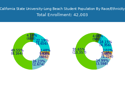 California State University-Long Beach 2025 Student Population by Gender and Race chart
