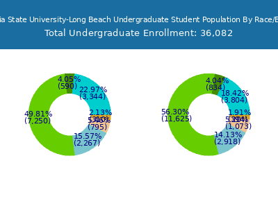 California State University-Long Beach 2025 Undergraduate Enrollment by Gender and Race chart