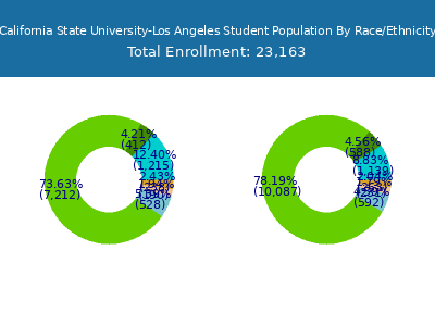 California State University-Los Angeles 2025 Student Population by Gender and Race chart