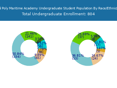 Cal Poly Maritime Academy 2025 Undergraduate Enrollment by Gender and Race chart