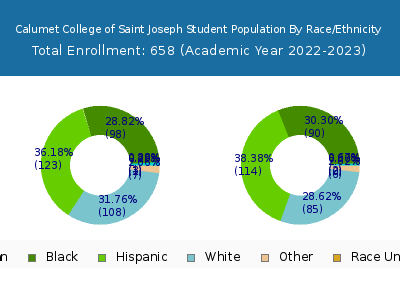 Calumet College of Saint Joseph 2023 Student Population by Gender and Race chart
