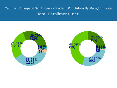 Calumet College of Saint Joseph 2025 Student Population by Gender and Race chart