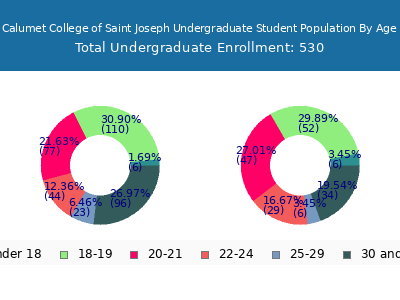 Calumet College of Saint Joseph 2025 Undergraduate Enrollment Age Diversity Pie chart