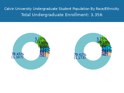 Calvin University 2025 Undergraduate Enrollment by Gender and Race chart