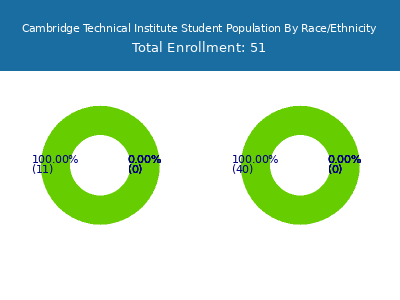 Cambridge Technical Institute 2025 Student Population by Gender and Race chart