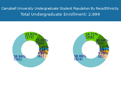 Campbell University 2025 Undergraduate Enrollment by Gender and Race chart