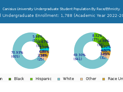 Canisius University 2023 Undergraduate Enrollment by Gender and Race chart