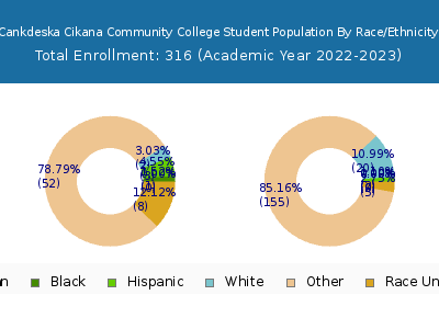 Cankdeska Cikana Community College 2023 Student Population by Gender and Race chart