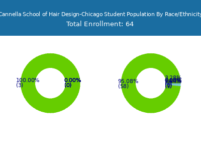 Cannella School of Hair Design-Chicago 2025 Student Population by Gender and Race chart