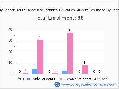 Canton City Schools Adult Career and Technical Education 2025 Student Population by Gender and Race chart