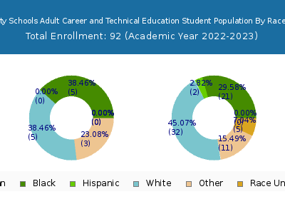 Canton City Schools Adult Career and Technical Education 2023 Student Population by Gender and Race chart