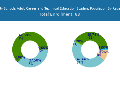 Canton City Schools Adult Career and Technical Education 2025 Student Population by Gender and Race chart