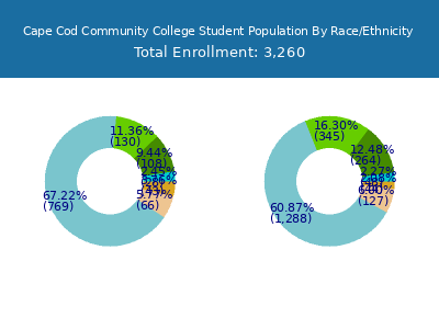 Cape Cod Community College 2025 Student Population by Gender and Race chart