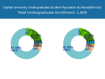 Capital University 2025 Undergraduate Enrollment by Gender and Race chart