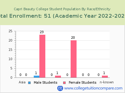 Capri Beauty College 2023 Student Population by Gender and Race chart