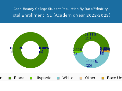Capri Beauty College 2023 Student Population by Gender and Race chart