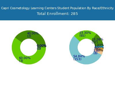 Capri Cosmetology Learning Centers 2025 Student Population by Gender and Race chart