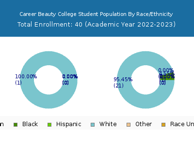 Career Beauty College 2023 Student Population by Gender and Race chart