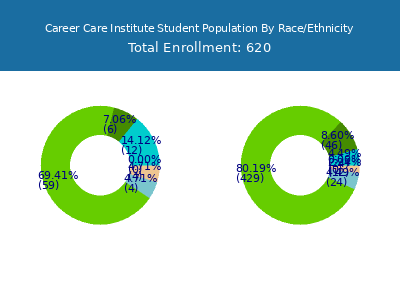 Career Care Institute 2025 Student Population by Gender and Race chart