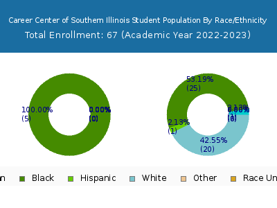 Career Center of Southern Illinois 2023 Student Population by Gender and Race chart