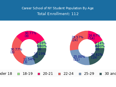 Career School of NY 2024 Student Population Age Diversity Pie chart