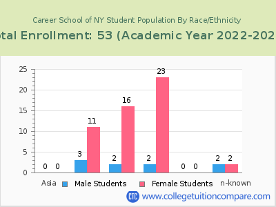 Career School of NY 2023 Student Population by Gender and Race chart