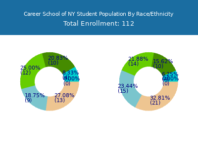 Career School of NY 2025 Student Population by Gender and Race chart