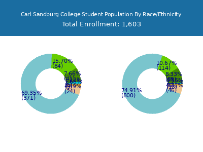 Carl Sandburg College 2025 Student Population by Gender and Race chart