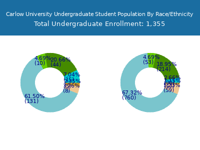 Carlow University 2025 Undergraduate Enrollment by Gender and Race chart
