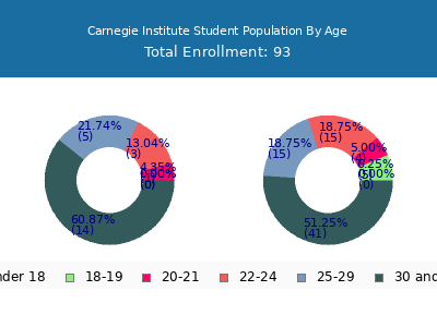 Carnegie Institute 2024 Student Population Age Diversity Pie chart
