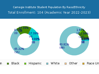 Carnegie Institute 2023 Student Population by Gender and Race chart