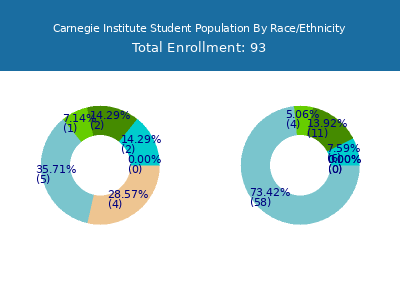 Carnegie Institute 2025 Student Population by Gender and Race chart