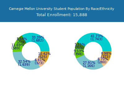 Carnegie Mellon University 2025 Student Population by Gender and Race chart