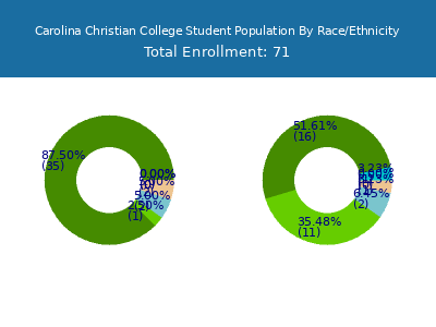 Carolina Christian College 2025 Student Population by Gender and Race chart