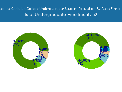 Carolina Christian College 2025 Undergraduate Enrollment by Gender and Race chart