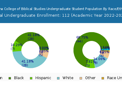 Carolina College of Biblical Studies 2023 Undergraduate Enrollment by Gender and Race chart