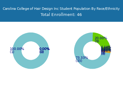 Carolina College of Hair Design Inc 2025 Student Population by Gender and Race chart