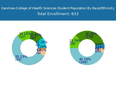 Carolinas College of Health Sciences 2025 Student Population by Gender and Race chart