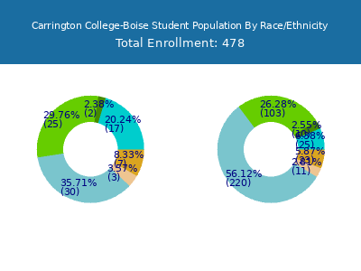 Carrington College-Boise 2025 Student Population by Gender and Race chart