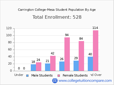 Carrington College-Mesa 2024 Student Population by Age chart