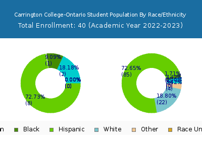 Carrington College-Ontario 2023 Student Population by Gender and Race chart