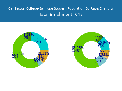 Carrington College-San Jose 2025 Student Population by Gender and Race chart