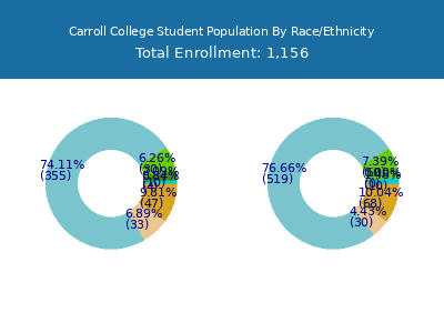 Carroll College 2025 Student Population by Gender and Race chart