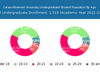 Carson-Newman University 2023 Undergraduate Enrollment Age Diversity Pie chart