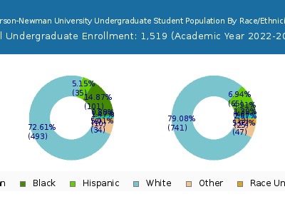 Carson-Newman University 2023 Undergraduate Enrollment by Gender and Race chart