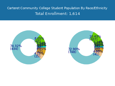 Carteret Community College 2025 Student Population by Gender and Race chart