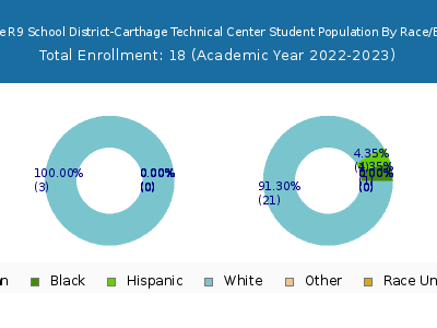 Carthage R9 School District-Carthage Technical Center 2023 Student Population by Gender and Race chart