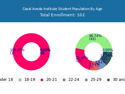 Casal Aveda Institute 2024 Student Population Age Diversity Pie chart